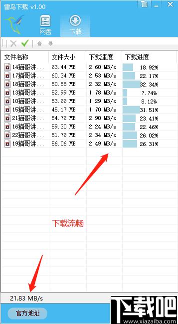 雷鸟下载器下载,文件下载,批量下载